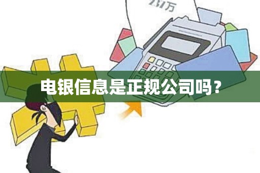 电银信息是正规公司吗？