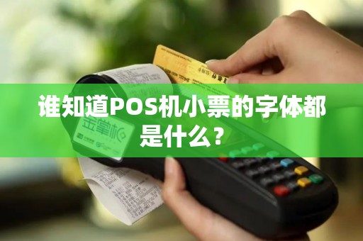 谁知道POS机小票的字体都是什么？