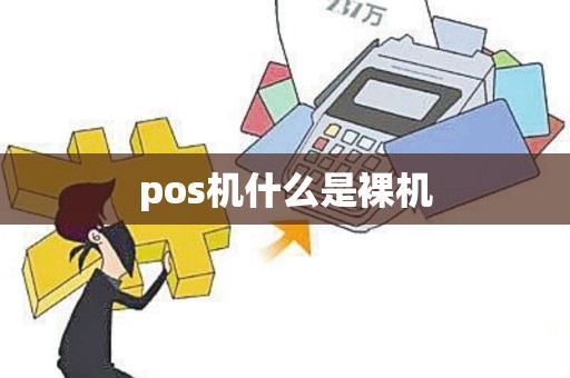 pos机什么是裸机 pos机什么是裸机