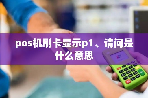 pos机刷卡显示p1、请问是什么意思
