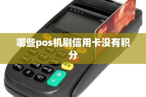 哪些pos机刷信用卡没有积分 哪些pos机刷信用卡没有积分