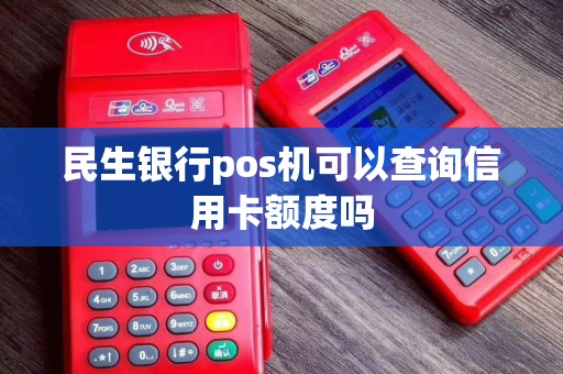 民生银行pos机可以查询信用卡额度吗