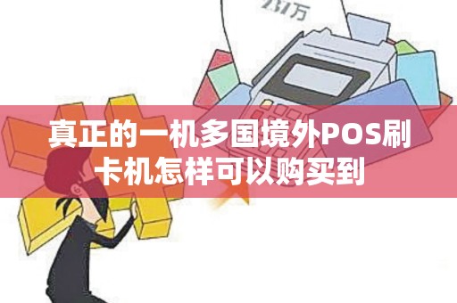 真正的一机多国境外POS刷卡机怎样可以购买到