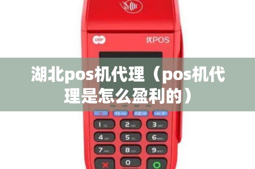 湖北pos机代理（pos机代理是怎么盈利的）