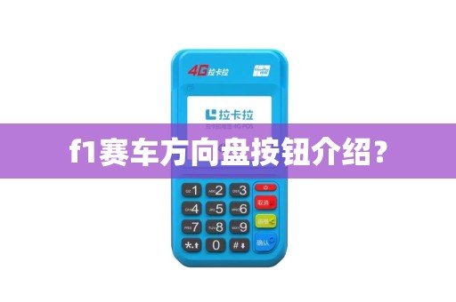 f1赛车方向盘按钮介绍？