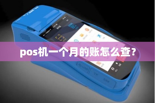 pos机一个月的账怎么查？