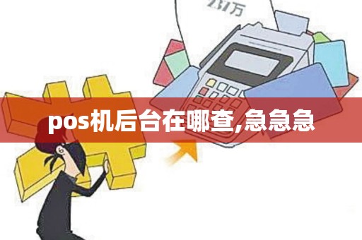 pos机后台在哪查,急急急