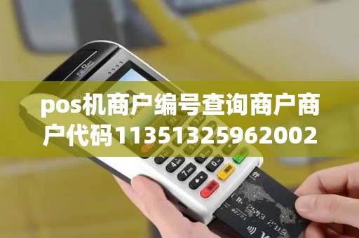 pos机商户编号查询商户商户代码113513259620024 pos机商户编号查询商户商户代码113513259620024