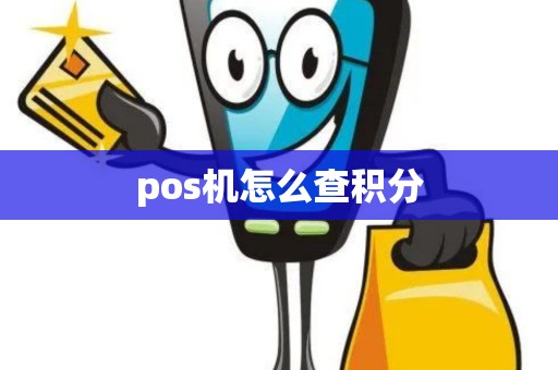 pos机怎么查积分