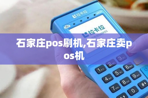 石家庄pos刷机,石家庄卖pos机