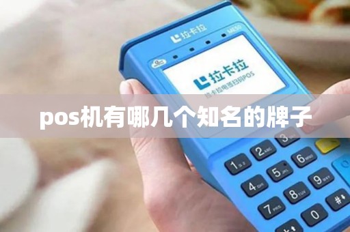 pos机有哪几个知名的牌子 pos机有哪几个知名的牌子