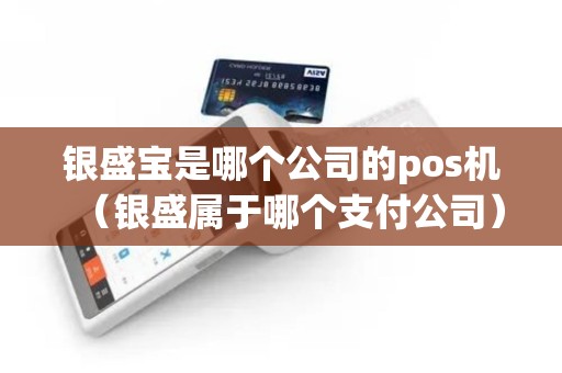 银盛宝是哪个公司的pos机（银盛属于哪个支付公司）