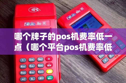 哪个牌子的pos机费率低一点（哪个平台pos机费率低）