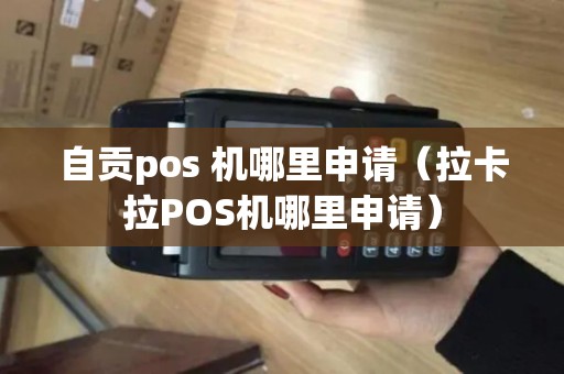 自贡pos 机哪里申请（拉卡拉POS机哪里申请）
