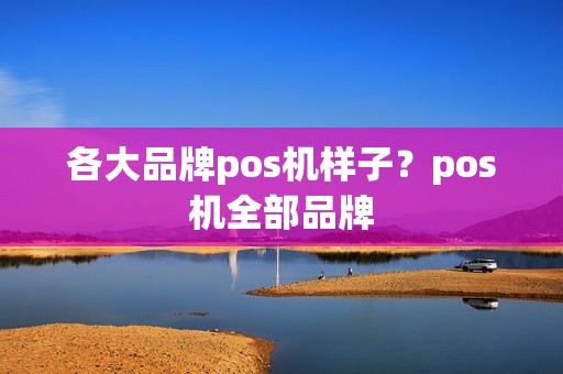 各大品牌pos机样子？pos机全部品牌