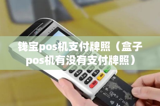 钱宝pos机支付牌照（盒子pos机有没有支付牌照）