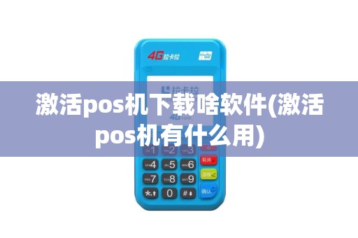 激活pos机下载啥软件(激活pos机有什么用)