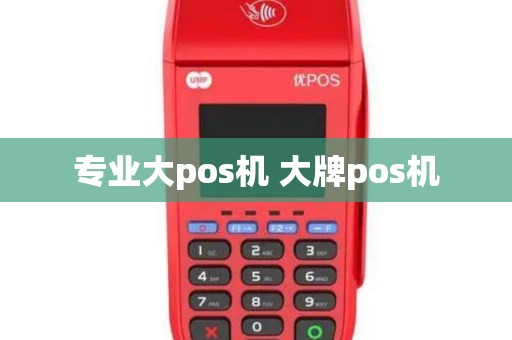 专业大pos机 大牌pos机
