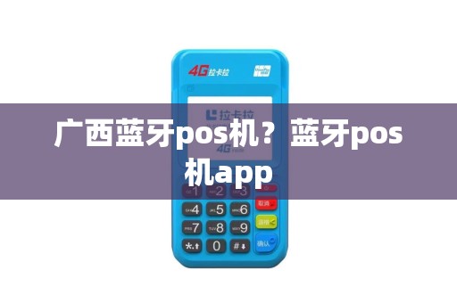 广西蓝牙pos机？蓝牙pos机app