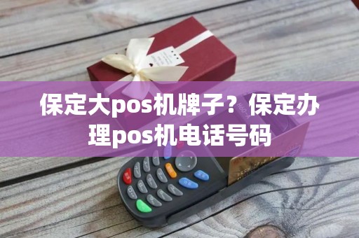 保定大pos机牌子？保定办理pos机电话号码