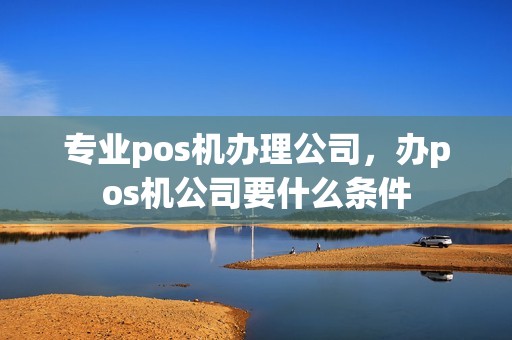 专业pos机办理公司，办pos机公司要什么条件