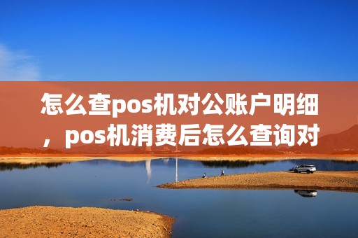 怎么查pos机对公账户明细，pos机消费后怎么查询对方公司名称