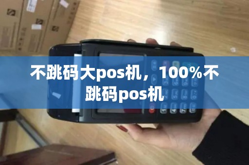 不跳码大pos机，100%不跳码pos机