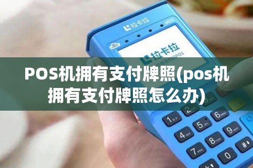 POS机拥有支付牌照(pos机拥有支付牌照怎么办)
