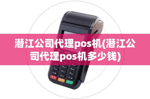 潜江公司代理pos机(潜江公司代理pos机多少钱)