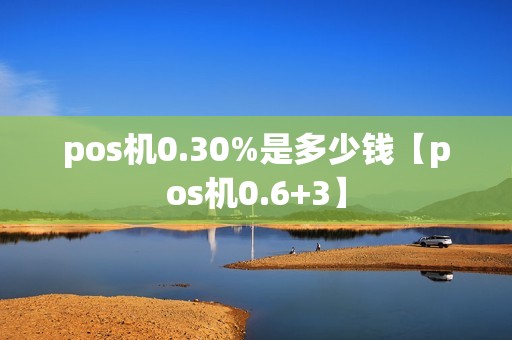 pos机0.30%是多少钱【pos机0.6+3】