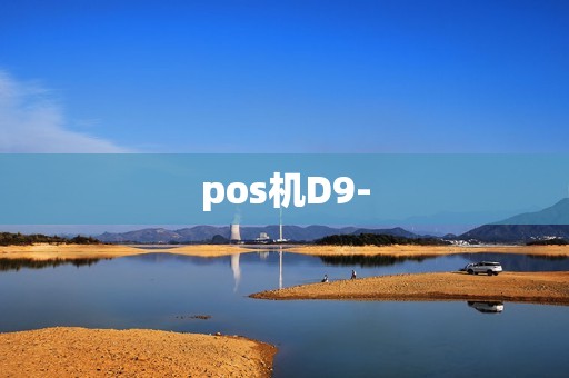 pos机D9-