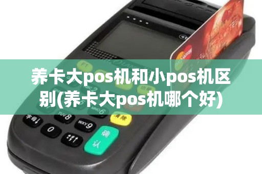 养卡大pos机和小pos机区别(养卡大pos机哪个好)