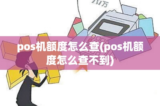 pos机额度怎么查(pos机额度怎么查不到)