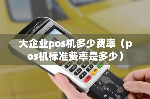 大企业pos机多少费率（pos机标准费率是多少）