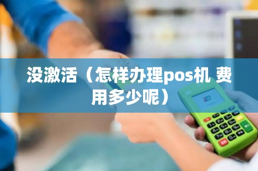 没激活（怎样办理pos机 费用多少呢）