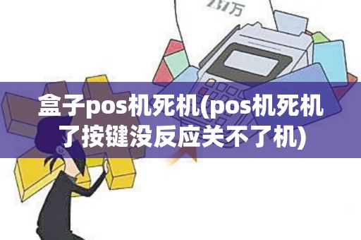 盒子pos机死机(pos机死机了按键没反应关不了机)