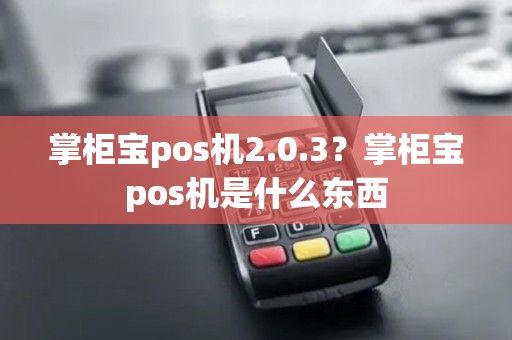 掌柜宝pos机2.0.3？掌柜宝pos机是什么东西
