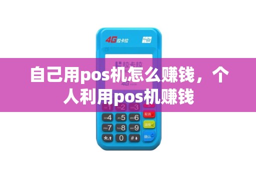 自己用pos机怎么赚钱，个人利用pos机赚钱