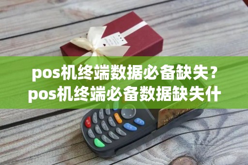 pos机终端数据必备缺失?pos机终端必备数据缺失什么意思