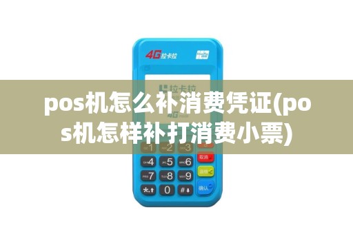 pos机怎么补消费凭证(pos机怎样补打消费小票)