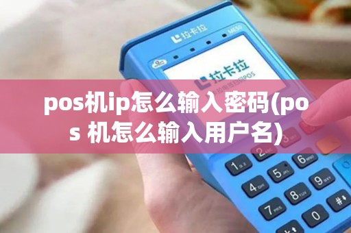 pos机ip怎么输入密码(pos 机怎么输入用户名)