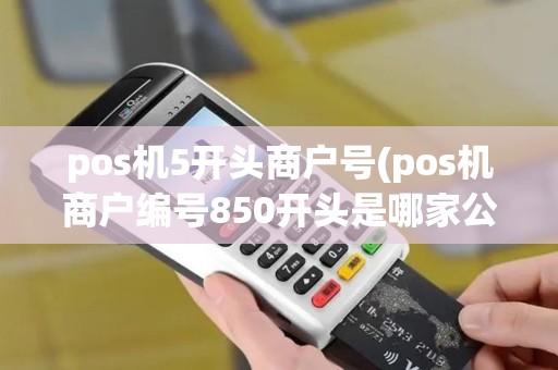 pos机5开头商户号(pos机商户编号850开头是哪家公司)