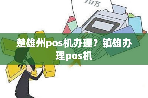 楚雄州pos机办理？镇雄办理pos机
