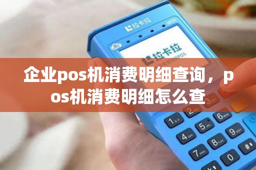 企业pos机消费明细查询，pos机消费明细怎么查