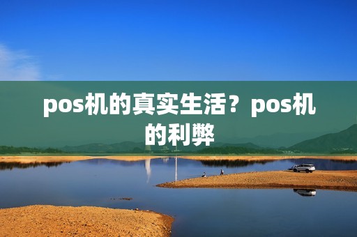 pos机的真实生活？pos机的利弊