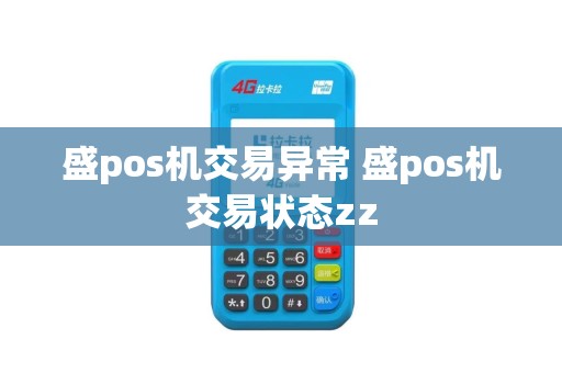 盛pos机交易异常 盛pos机交易状态zz