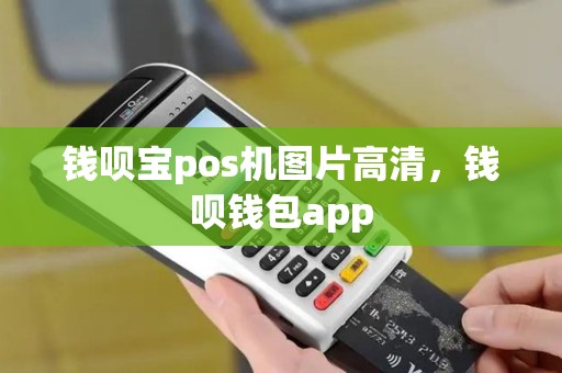 钱呗宝pos机图片高清，钱呗钱包app