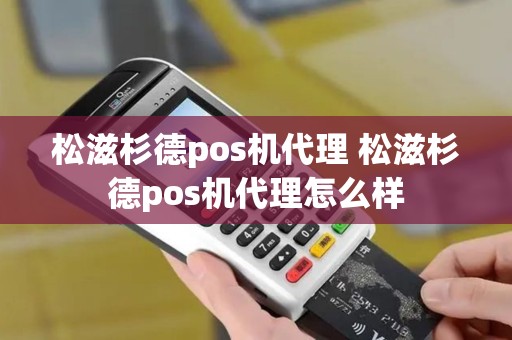 松滋杉德pos机代理 松滋杉德pos机代理怎么样
