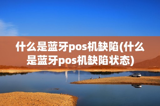 什么是蓝牙pos机缺陷(什么是蓝牙pos机缺陷状态)