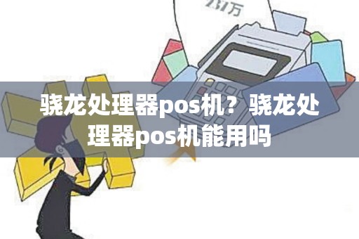 骁龙处理器pos机？骁龙处理器pos机能用吗